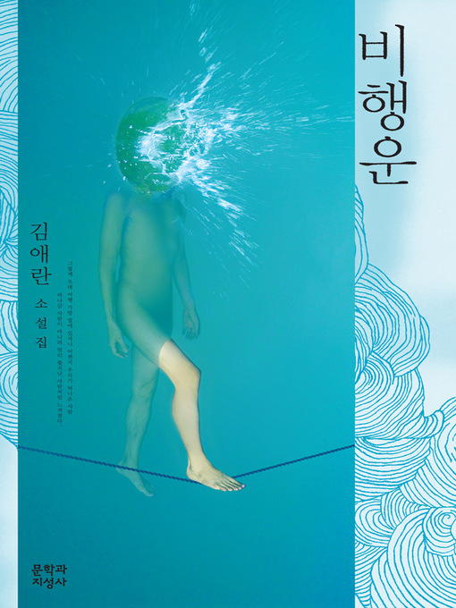 Title details for 비행운 by 김애란 - Wait list